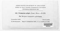 Image Associated With the Occurence